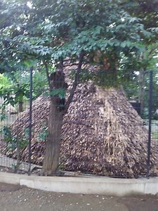 Cq6nuBqUAAE3n1n.jpg