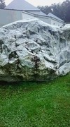DSC_0422.JPG