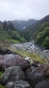 DSC_0445.JPG