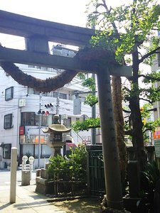 藁蛇さま.jpg
