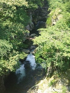 覗き橋から.jpg