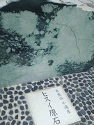 IMG_20160716_145427.jpg