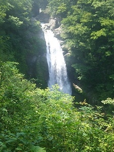 IMG_20160806_140117.jpg