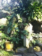 IMG_20170113_102440.jpg